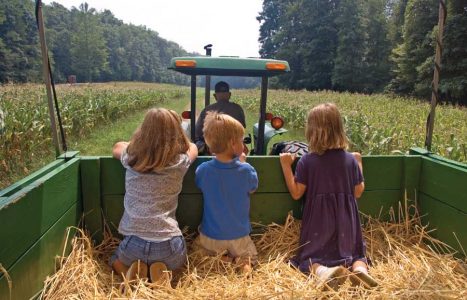 Agritourism: Getting Back to the Roots on Small Farms Image